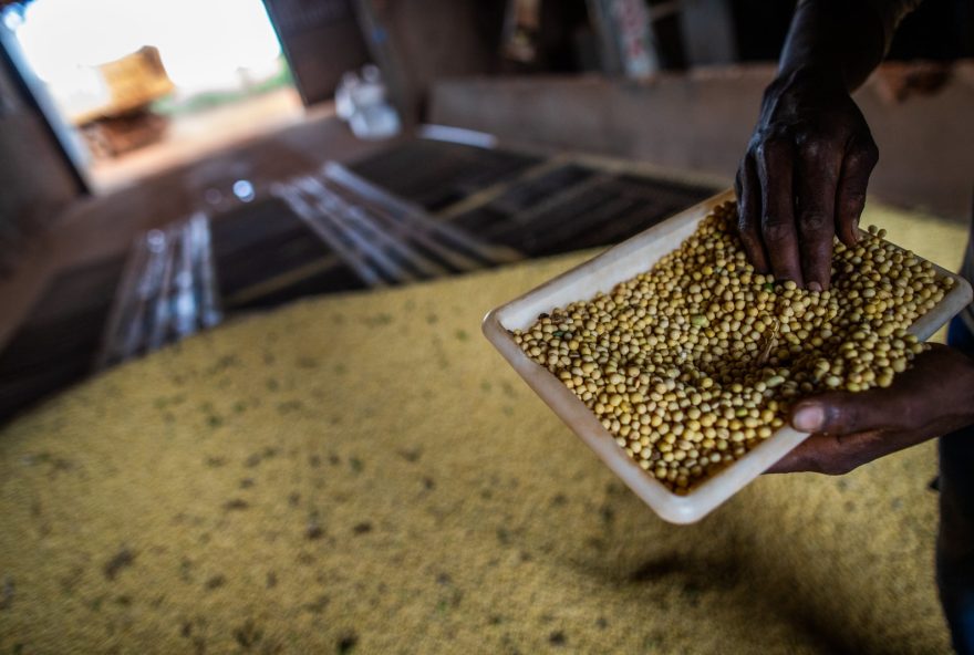 WhatsApp Image 2026-01-16 at 11.17.59