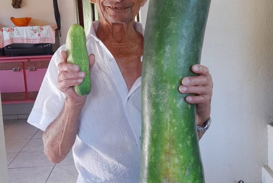 a-incrivel-historia-do-pepino-gigante-de-90-cm-e-7-kg-em-rio-do-sul2C-sc a-incrivel-historia-do-pepino-gigante-de-90-cm-e-7-kg-em-rio-do-sul2C-sc