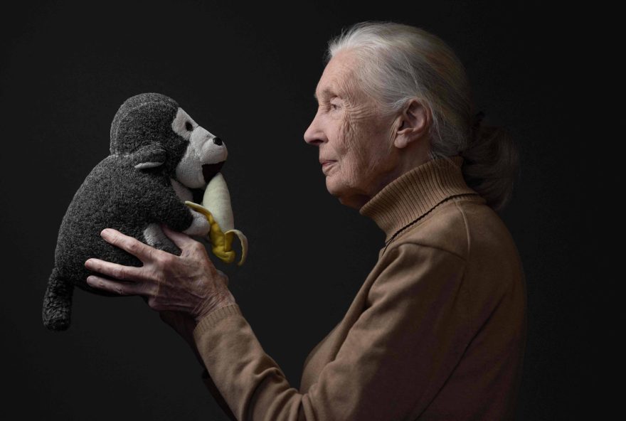 a-morte-de-jane-goodall-aos-91-anos3A-a-revolucao-na-ciencia-e-na-compreensao-da-humanidade