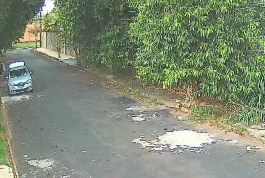 abandono-cruel3A-motorista-deixa-cachorros-na-rua-em-uberlandia-7C-video-mostra-a-acao-e-resgate-dos-animais-no-bairro-jardim-karaiba