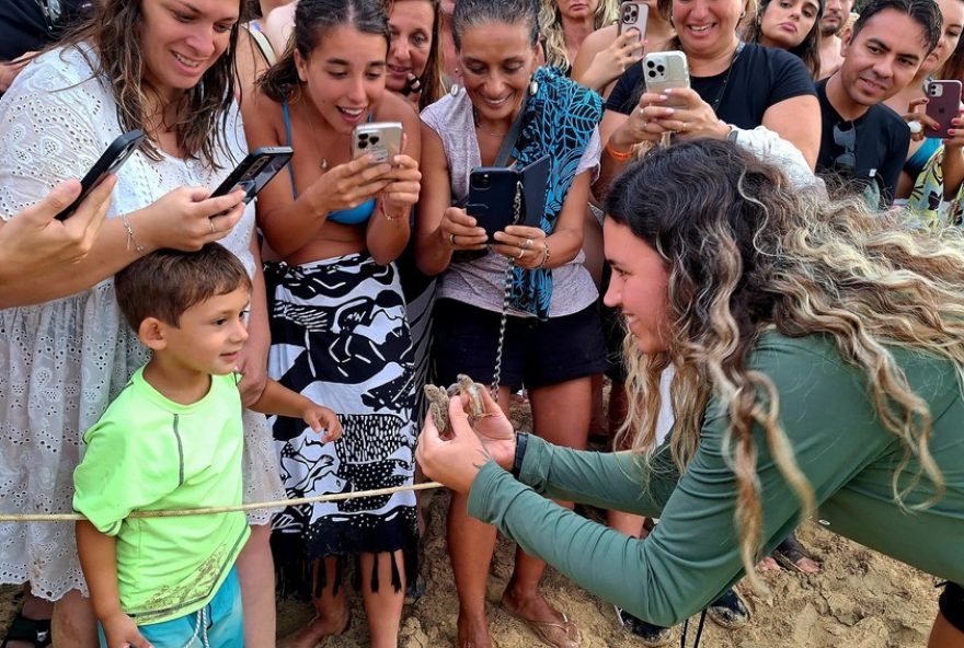 abertura-publica-de-ninho-de-tartaruga-em-fernando-de-noronha-20243A-tartaruguinhas-sao-soltas-em-emocionante-evento-de-conservacao