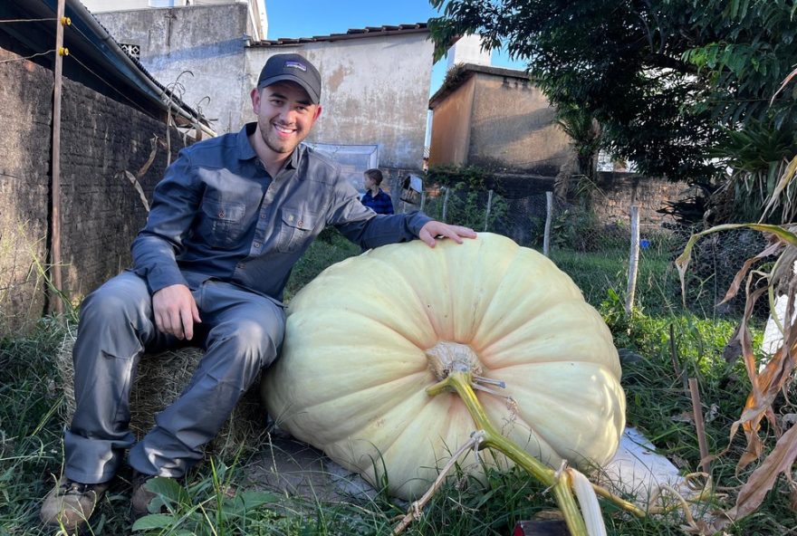 abobora-gigante-de-300kg-cultivada-em-sc3B-video-impressionante