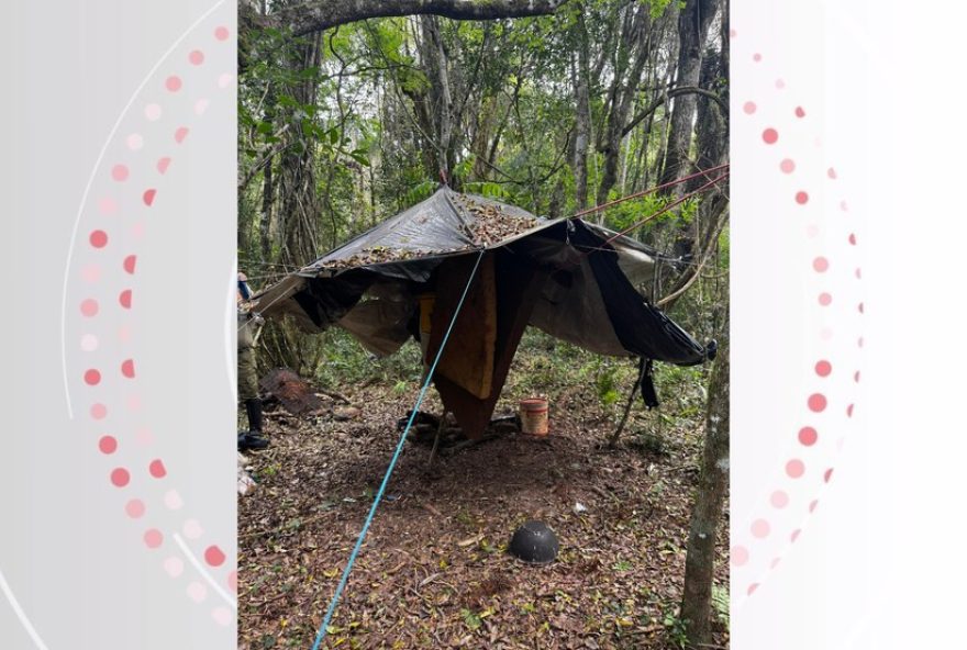 acampamentos-de-caca-ilegal-nas-cataratas-do-iguacu3A-policia-apreende-armas-e-protege-a-biodiversidade-no-parana