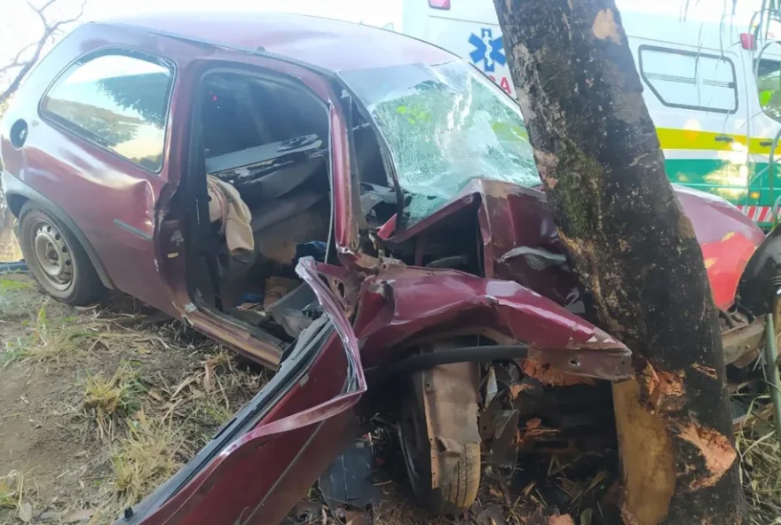 Carro ficou danificado após bater em árvore
(Foto: Reprodução/ G1)