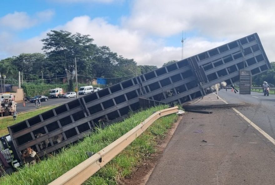 acidente-com-carro-e-caminhao-na-br-153-em-sao-jose-do-rio-preto3A-bezerros-presos-e-varios-morrem acidente-com-carro-e-caminhao-na-br-153-em-sao-jose-do-rio-preto3A-bezerros-presos-e-varios-morrem