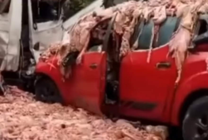 acidente-com-quatro-veiculos-deixa-sete-feridos-na-br-010 acidente-com-quatro-veiculos-deixa-sete-feridos-na-br-010