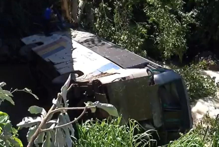 acidente-com-vacas-deixa-mais-de-30-feridos-em-goias acidente-com-vacas-deixa-mais-de-30-feridos-em-goias