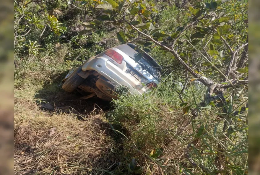 Caminhonete foi parar no meio de uma mata. (Foto: Reprodução/Corpo de Bombeiros)