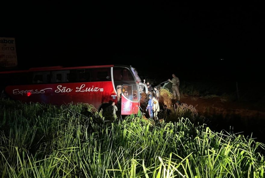 Três pessoas ficam feridas após ônibus bater contra boi e ir parar barranco na BR-060. (Reprodução/PRF).