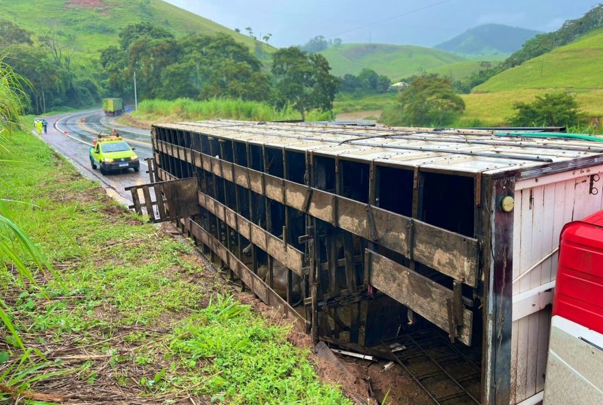 acidente-na-br-116-em-muriae3A-caminhao-com-28-bois-tomba-na-pista