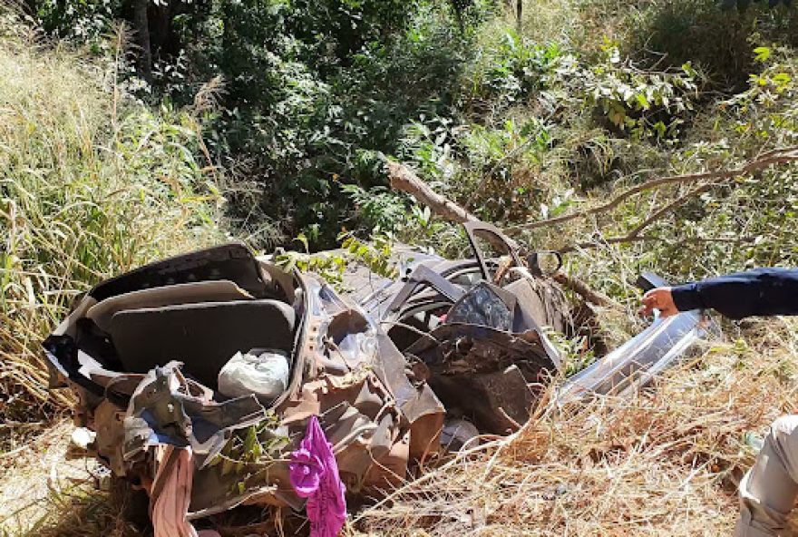 Veículo desceu por uma ribanceira e derrubou algumas árvores (Foto: Divulgação/PRF)