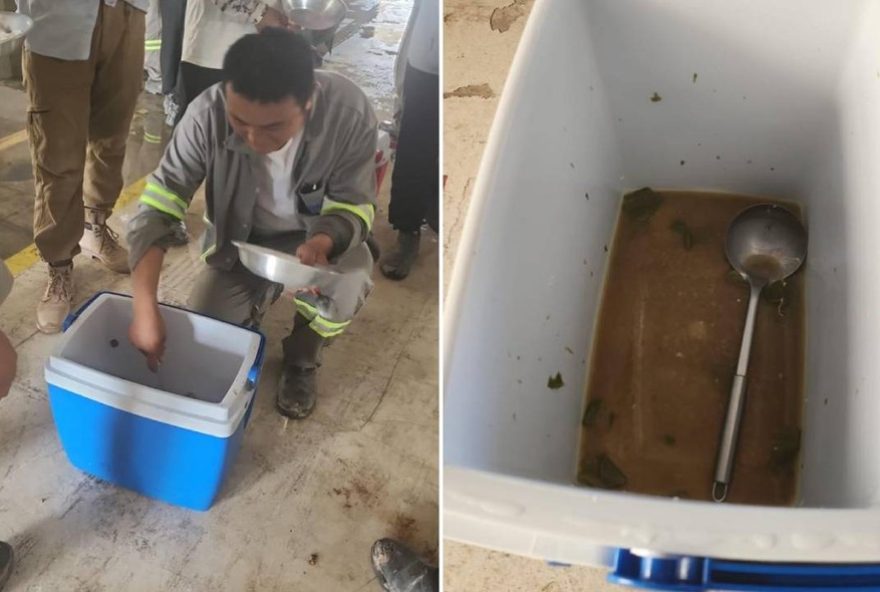 acordo-de-r24-40-milhoes-encerra-caso-de-trabalho-escravo-na-bahia-entre-byd-e-empreiteiras2C-diz-mpt acordo-de-r24-40-milhoes-encerra-caso-de-trabalho-escravo-na-bahia-entre-byd-e-empreiteiras2C-diz-mpt