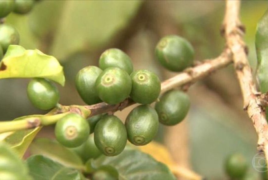 acordo-ue-mercosul3A-impactos-na-economia-de-minas-gerais acordo-ue-mercosul3A-impactos-na-economia-de-minas-gerais