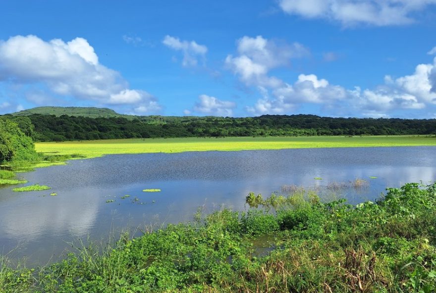 acude-do-xareu-em-fernando-de-noronha-atinge-capacidade-maxima-e-volta-a-verter-apos-cinco-anos3A-video-e-detalhes