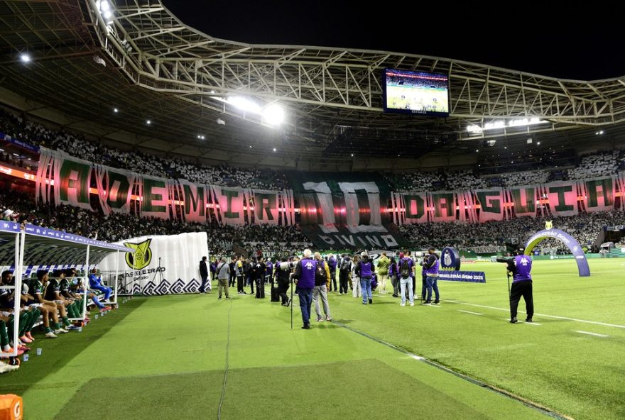 ademir-da-guia3A-deus-da-camisa-10-do-palmeiras-recebe-homenagem-da-torcida-no-allianz-parque