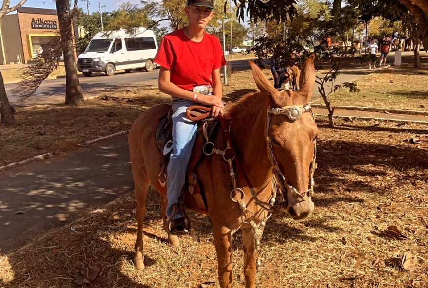 adolescente-baleado-em-festa-de-cavalgada-pode-ficar-tetraplegico