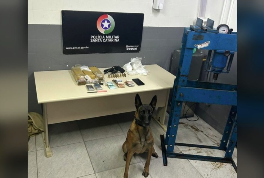 adolescente-resgatada-em-criciuma-apos-enviar-mensagens-de-socorro adolescente-resgatada-em-criciuma-apos-enviar-mensagens-de-socorro