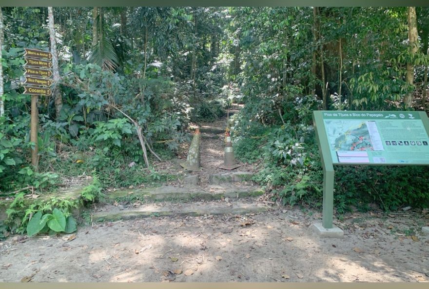 advogado-de-60-anos-morre-apos-queda-no-pico-do-tijuca-mirim-investigacoes-em-andamento