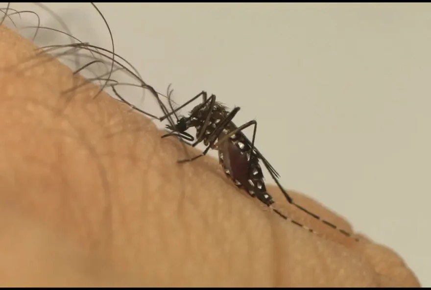 Caldas Novas confirma primeira morte em decorrência da dengue