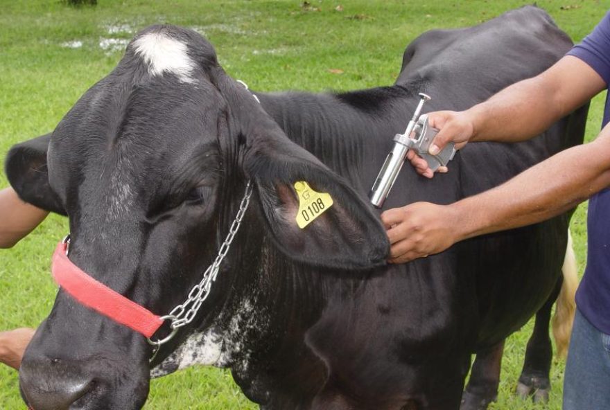 Foto: Divulgação/SES