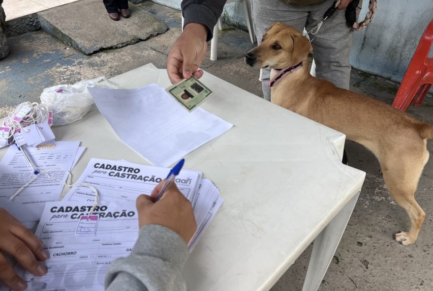 agendamento-aberto3A-200-vagas-de-castracao-gratuita-para-pets-em-itapeva