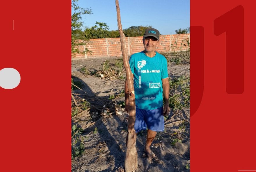 agricultor-colhe-mandioca-de-2-metros-na-bahia3A-nunca-vi-desse-porte-historia-de-super-raiz-colhida-para-consumo-familiar
