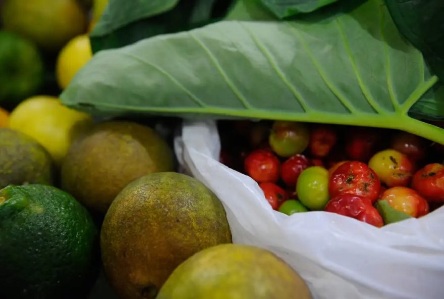 Um em cada quatro alimentos de origem vegetal no país contém resíduos de agrotóxicos, proibidos ou em níveis superiores ao permitido por lei (Foto: Agência Brasil)