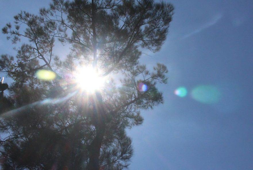 alerta-da-defesa-civil3A-calor-intenso-e-chuvas-nos-proximos-dias-em-sao-paulo2C-com-temperaturas-chegando-a-38degc.-mantenha-se-seguro