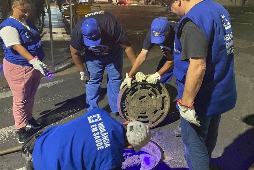 alerta-da-prefeitura-de-porto-alegre3A-prevencao-contra-escorpioes-amarelos