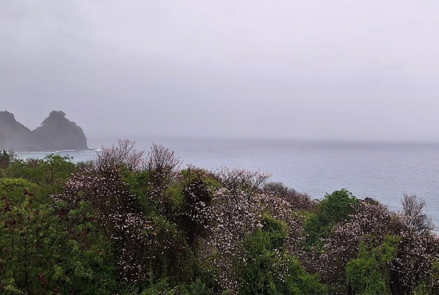 alerta-de-chuva-forte-renovado-em-fernando-de-noronha3B-praias-e-trilha-liberadas