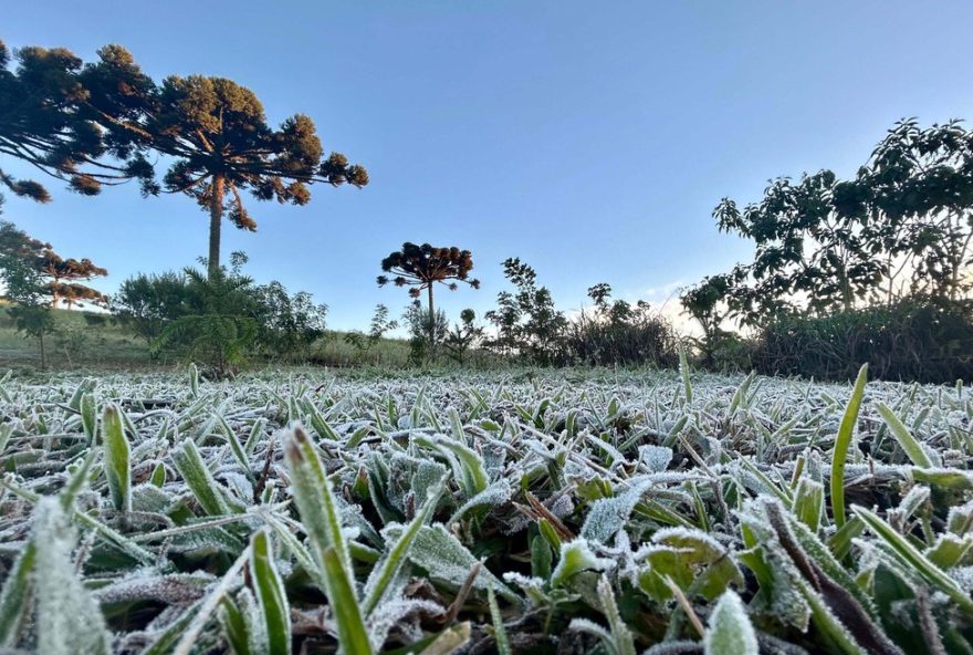 alerta-de-onda-de-frio-intenso3A-simepar-preve-temperaturas-proximas-de-0degc-no-parana-preparativos-para-enfrentar-o-inverno-rigoroso