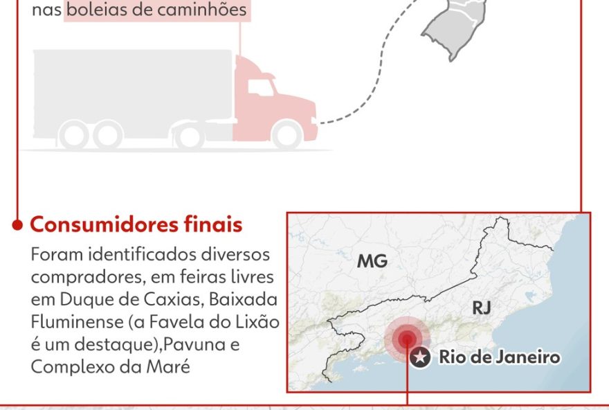 aliado-do-de-preso-em-mg-com-arara-ameacada-de-extincao aliado-do-de-preso-em-mg-com-arara-ameacada-de-extincao