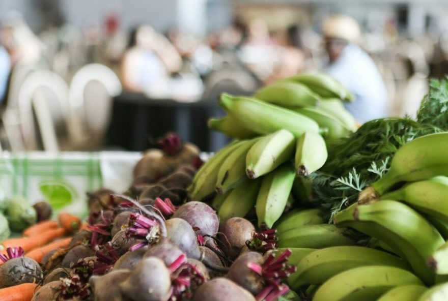 Edital selecionou propostas de agricultores familiares quilombolas para o fornecimento de itens hortifrutigranjeiros a serem doados para entidades sociais