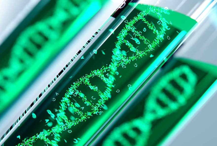 alphagenome3A-nova-ia-do-google-pode-decodificar-genoma-escondido alphagenome3A-nova-ia-do-google-pode-decodificar-genoma-escondido