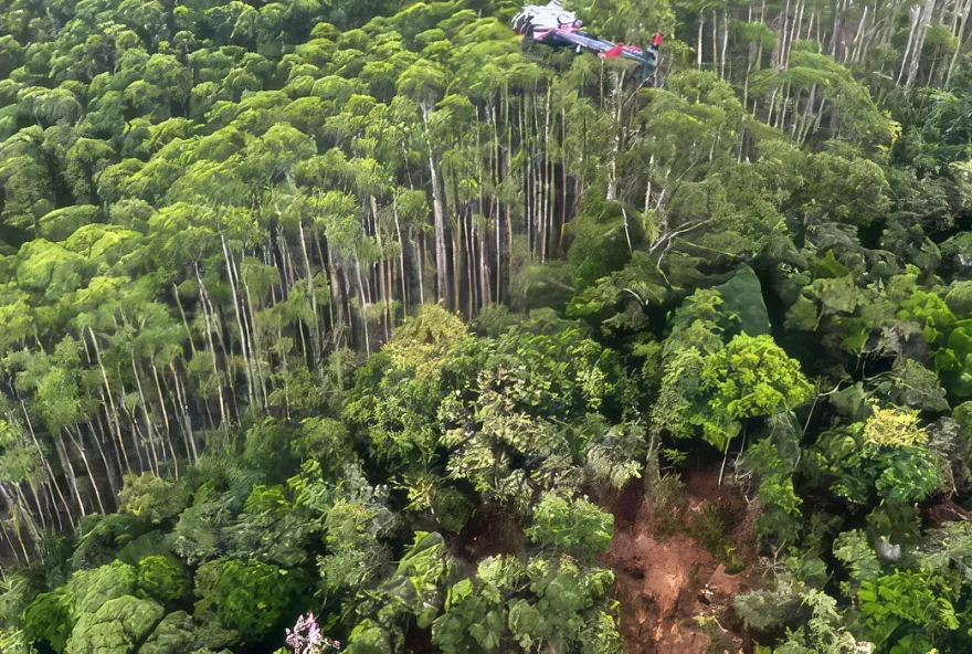 Os corpos dos quatro ocupantes do helicóptero que desapareceu há 12 dias em São Paulo foram encontrados junto à aeronave. Foto: PMESP