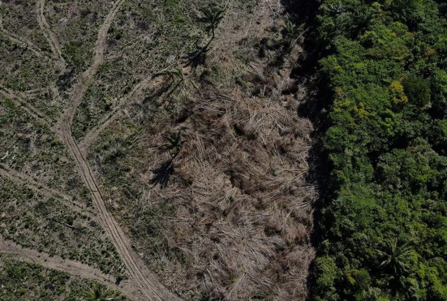 amazonas3A-2o-maior-explorador-de-madeira-na-amazonia-em-20243A-dados-e-desafios.-a-fiscalizacao2C-multas-e-a-necessidade-de-politicas-sustentaveis amazonas3A-2o-maior-explorador-de-madeira-na-amazonia-em-20243A-dados-e-desafios.-a-fiscalizacao2C-multas-e-a-necessidade-de-politicas-sustentaveis