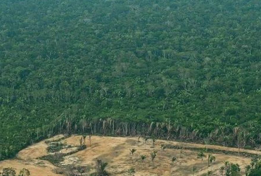 amazonia-perdeu-50-mil-km-de-matas-nos-ultimos-7-anos-1556217624121_v2_450x450