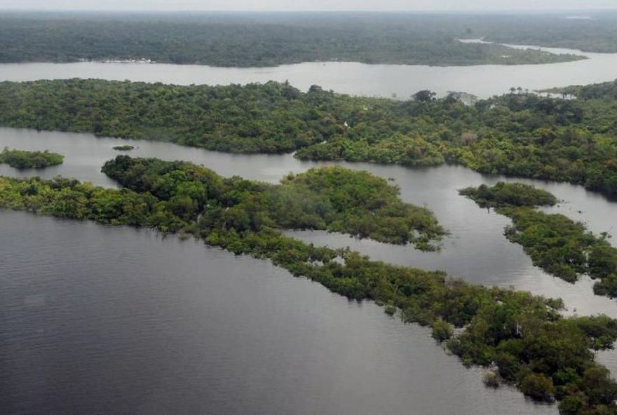 O tráfico internacional de drogas e algumas de suas consequências, como conflitos armados, violação dos direitos humanos e deslocamentos forçados, tendem a contribuir para a destruição do meio ambiente
Foto: Reprodução\Agência Brasil