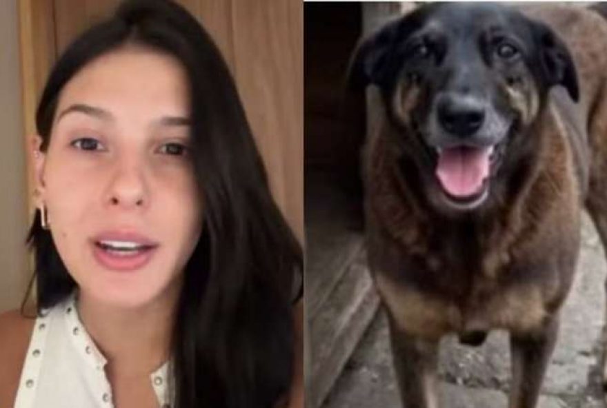 ana-castela-se-manifesta-contra-violencia-animal-e-familia-de-gloria-maria-presta-homenagem-emocionante3A-noticias-em-destaque ana-castela-se-manifesta-contra-violencia-animal-e-familia-de-gloria-maria-presta-homenagem-emocionante3A-noticias-em-destaque