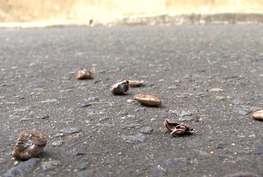 ano-novo-manchado-pela-violencia3A-tres-homens-sao-brutalmente-assassinados-em-cidades-do-interior-de-sp ano-novo-manchado-pela-violencia3A-tres-homens-sao-brutalmente-assassinados-em-cidades-do-interior-de-sp