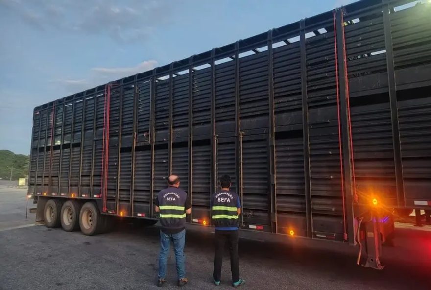 apreensao-de-cargas-irregulares3A-mais-de-r24-1-milhao-no-nordeste-e-oeste-do-para apreensao-de-cargas-irregulares3A-mais-de-r24-1-milhao-no-nordeste-e-oeste-do-para