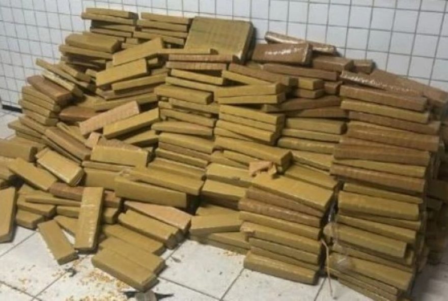 apreensao-de-centenas-de-tabletes-de-maconha-em-mata-de-paco-do-lumiar3A-operacao-impacto-na-grande-sao-luis