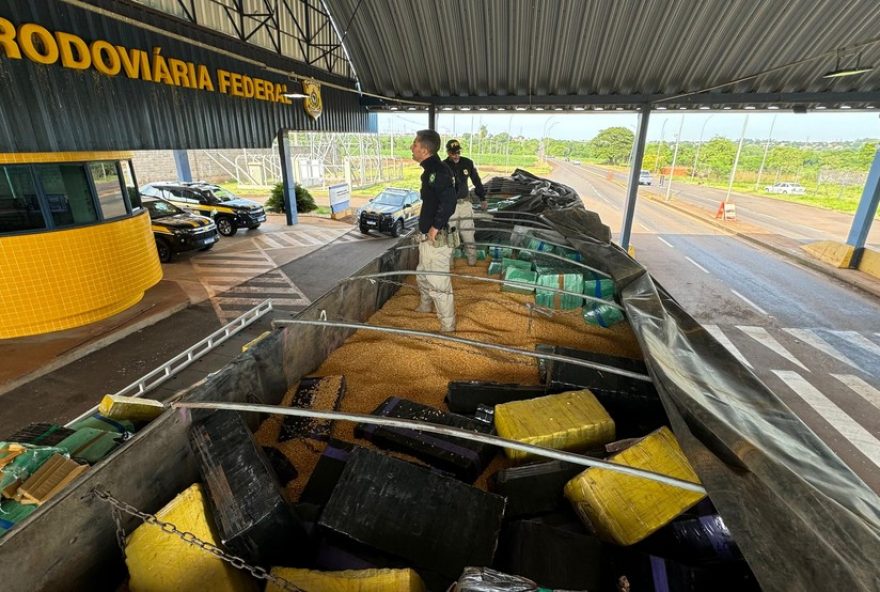 apreensao-de-cinco-toneladas-de-maconha-em-carga-de-milho-no-parana3A-motorista-e-passageiro-presos.-investigacao-em-andamento