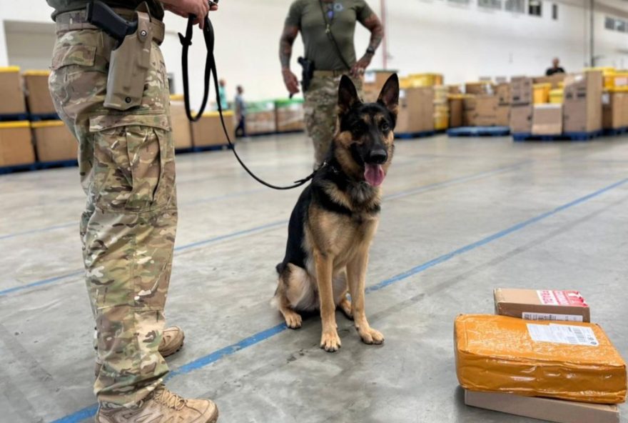 apreensao-de-drogas-e-arma-no-centro-dos-correios-na-bahia3A-operacao-coordenada-pelo-ministerio-da-justica