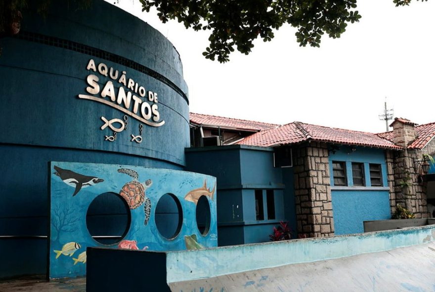 aquario-de-santos-segue-fechado3B-obra-avanca-925-e-contrato-sera-rompido-pela-prefeitura aquario-de-santos-segue-fechado3B-obra-avanca-925-e-contrato-sera-rompido-pela-prefeitura