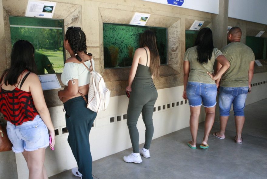 aquario-do-parque-do-sabia-em-uberlandia-e-fechado-apos-4-anos-sem-visitacao2C-peixes-sao-doados-ao-clube-de-caca-e-pesca.-novo-nucleo-de-aquicultura-e-inaugurado-no-local aquario-do-parque-do-sabia-em-uberlandia-e-fechado-apos-4-anos-sem-visitacao2C-peixes-sao-doados-ao-clube-de-caca-e-pesca.-novo-nucleo-de-aquicultura-e-inaugurado-no-local