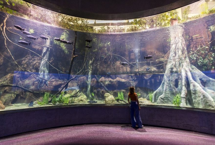 aquario-em-foz-do-iguacu-importa-sal-de-israel-para-manter-especies-marinhas-no-pr aquario-em-foz-do-iguacu-importa-sal-de-israel-para-manter-especies-marinhas-no-pr