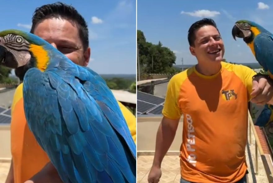 arara-caninde3A-finalmente-ganha-a-atencao-e-destaque-merecidos-ao-escoltar-ciclistas-em-dois-corregos2C-sp arara-caninde3A-finalmente-ganha-a-atencao-e-destaque-merecidos-ao-escoltar-ciclistas-em-dois-corregos2C-sp