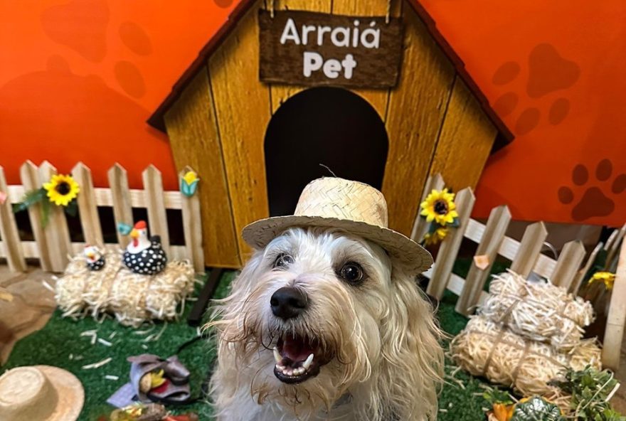 arraia-pet-solidario3A-comidas-tipicas2C-quadrilha-e-diversao-para-pets-neste-sabado-no-noroeste.-entrada-gratuita