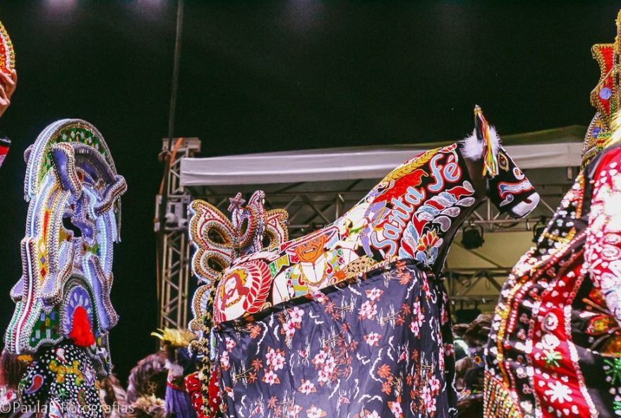 arraial-do-ipem3A-boi-novilho-branco2C-boi-de-santa-fe-e-mayara-lins-nesta-terca-feira-8-confira-a-programacao-completa